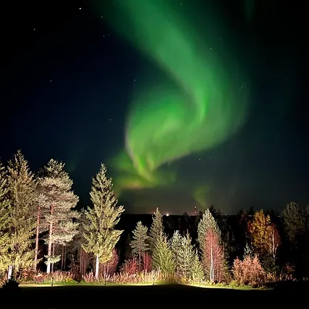 The Saunacabin Enchanted Lapland * Rovaniemi