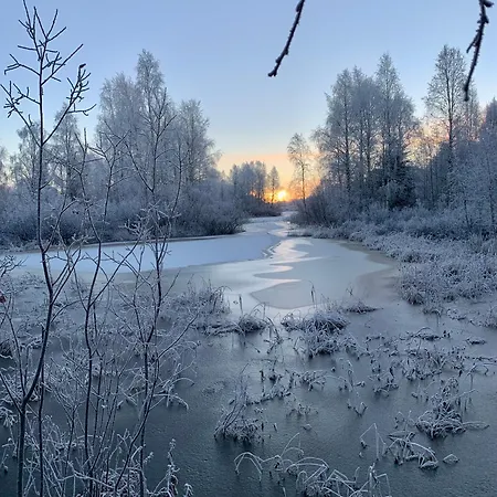 The Saunacabin Enchanted Lapland Prázdninový dům Rovaniemi