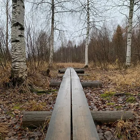 The Saunacabin Enchanted Lapland Prázdninový dům Rovaniemi