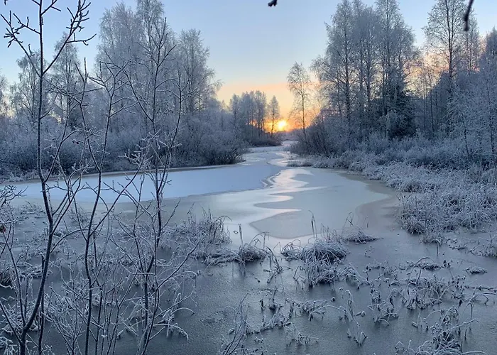 The Saunacabin Enchanted Lapland Дом отдыха Рованиеми