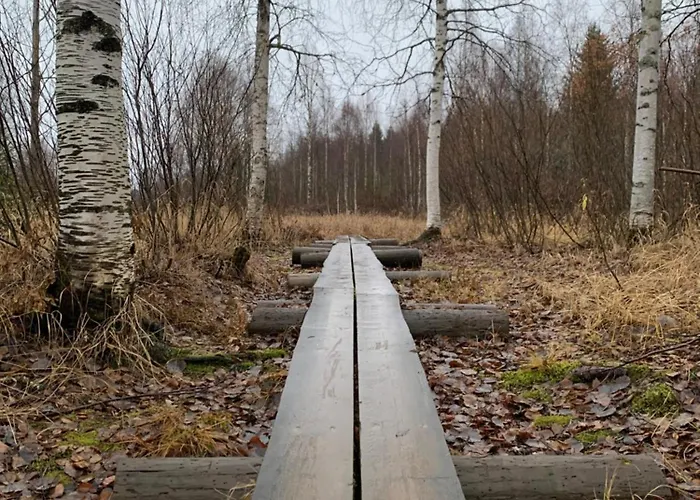 The Saunacabin Enchanted Lapland Дом отдыха Рованиеми