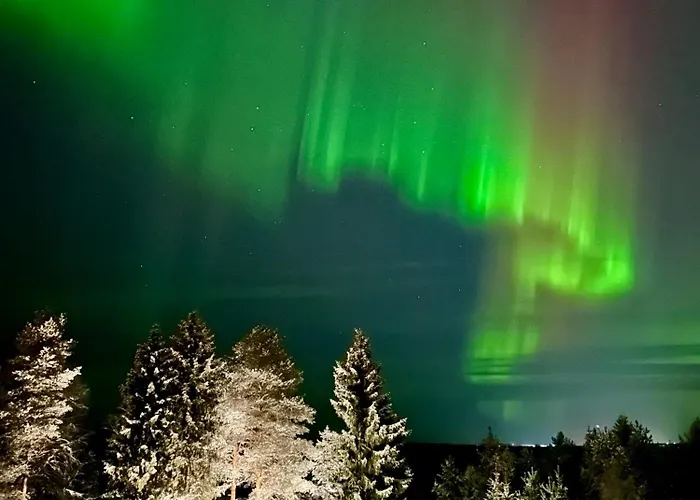 The Saunacabin Enchanted Lapland Дом отдыха